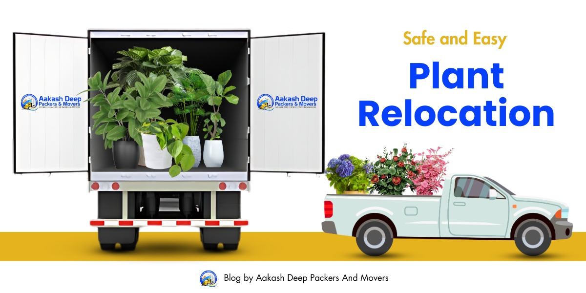 Safe and Easy Plant Relocation with Packers and Movers